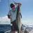 Cobia